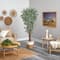 6ft. Variegated Ficus Tree in Handmade Natural Jute & Cotton Planter